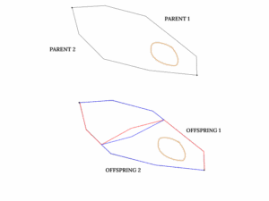 WRT single point crossover