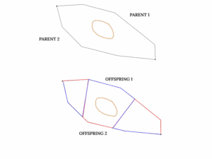 WRT 2 point crossover