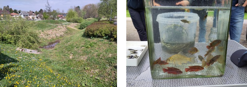 DIRECTED General Assembly 2026